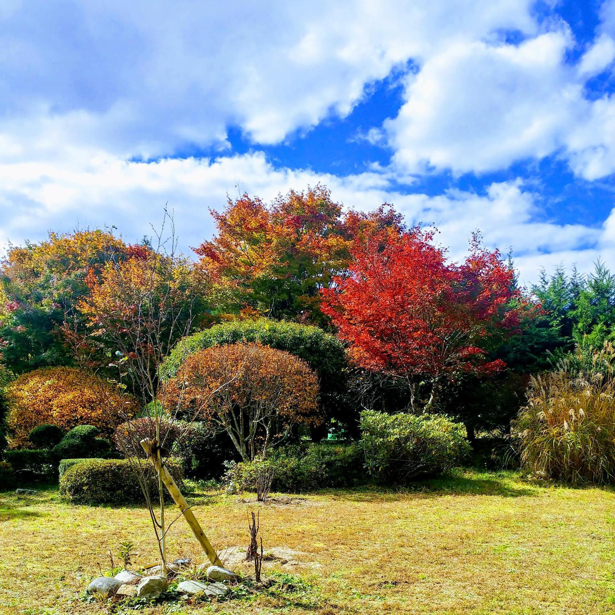 さいの郷「椛」 Guest House Kagamino ภายนอก รูปภาพ